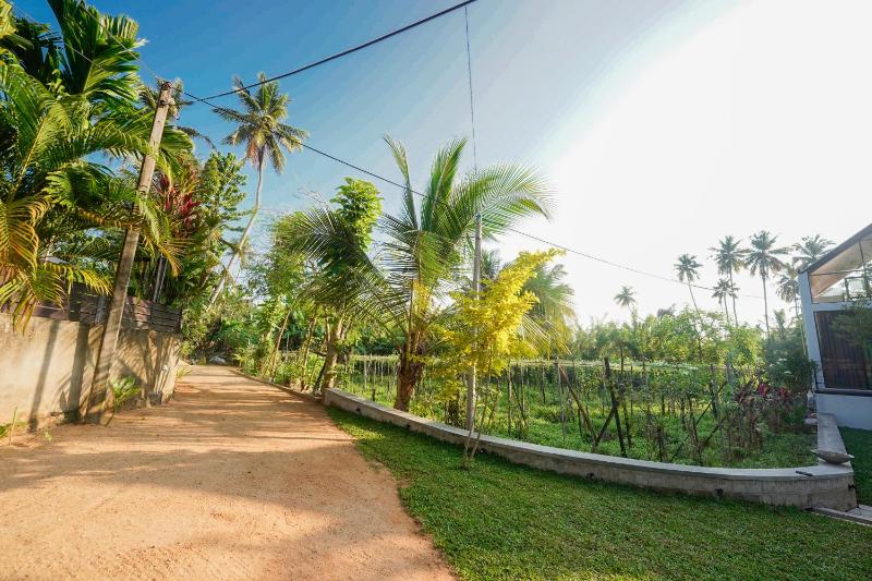 The Farm House Mirissa - image 14