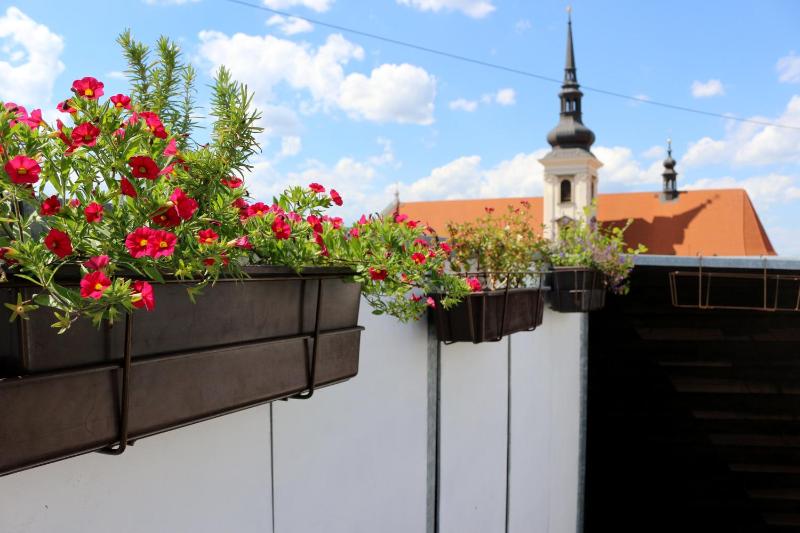 Apartment with Terrace and City View image 3