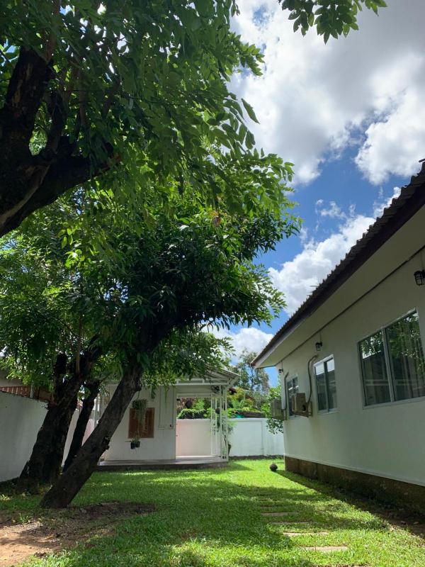 Cozy house in Vientiane - image 14