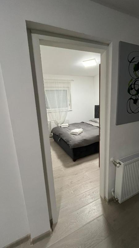Cozy apartment 1BDR apt - image 5
