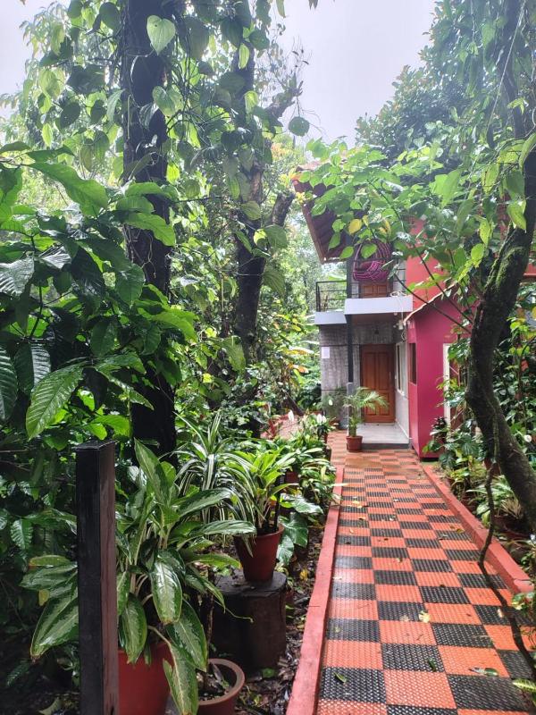 Centaurus Coorg home stay - image 10
