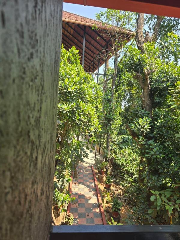 Centaurus Coorg home stay - image 15