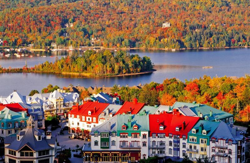 Le Sous-Bois (Les Manoirs) Mont-Tremblant - image 11