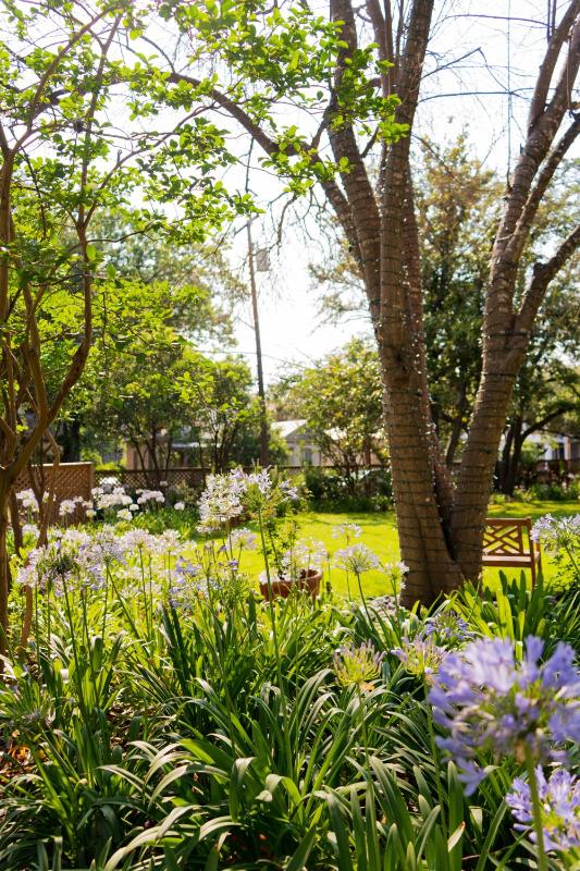 Plaza San Antonio Hotel & Spa Autograph Collection - image 6