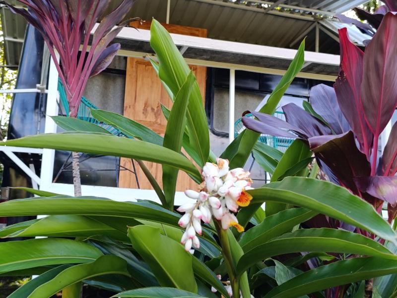 The Dreamcatcher House Glamping & Cabins Sarchí - image 12