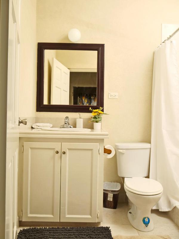Casa Amarilla St Michael - image 3