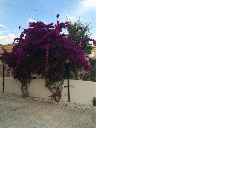 Villa Amico B&B San Leone - image 16