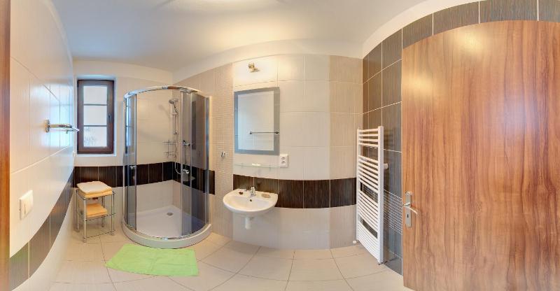 One-Bedroom Apartment image 4