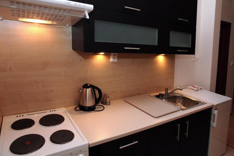 One-Bedroom Apartment image 2