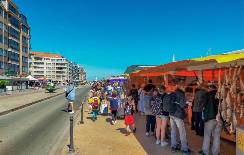 Beach Front Apartment In Oostende With Wifi - image 9