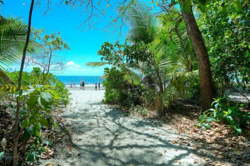 Oceanique - Absolute Beachfront Port Douglas - image 3