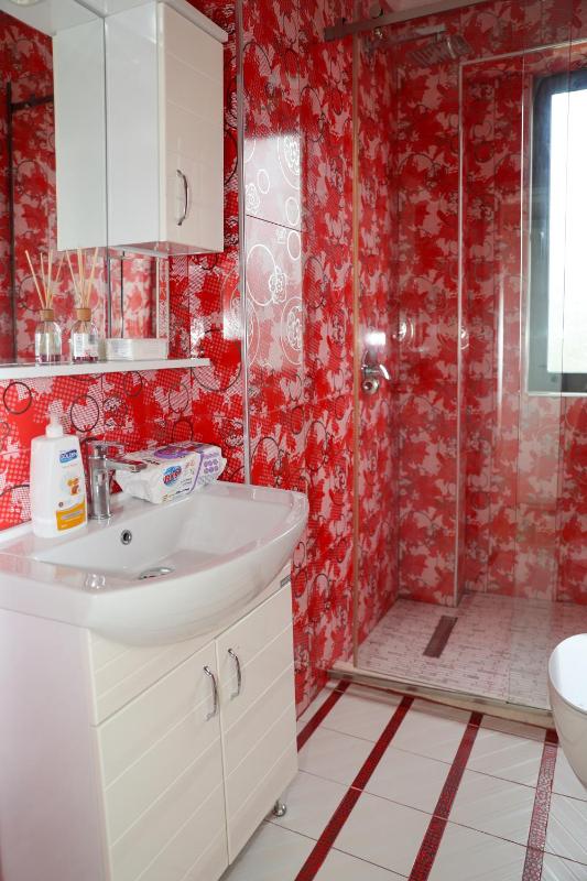 Said's Luxury Apartment - image 5