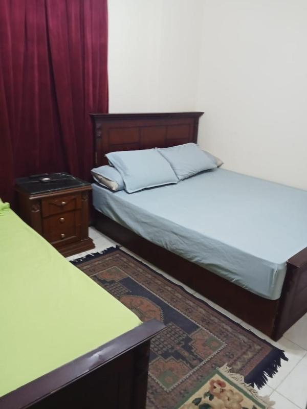شقة اسكندرية - image 8