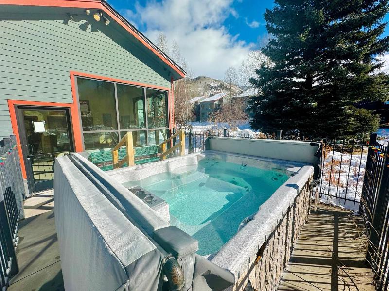 Telluride Lodge 324 studio - image 25