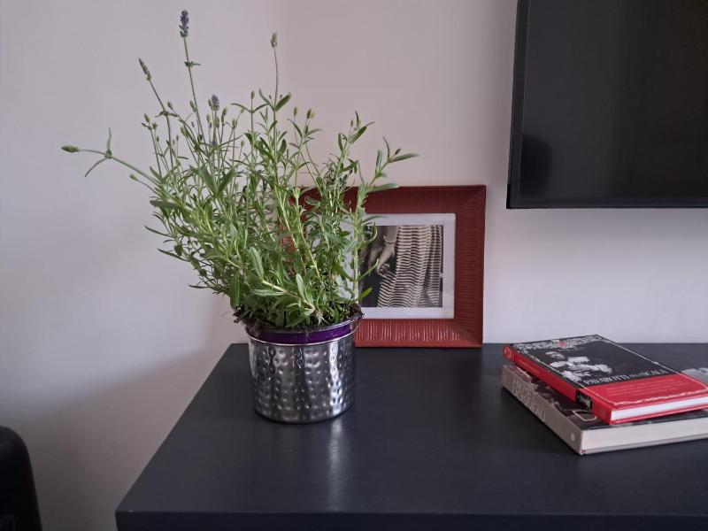 Gorgeous flat with Opera view - image 32
