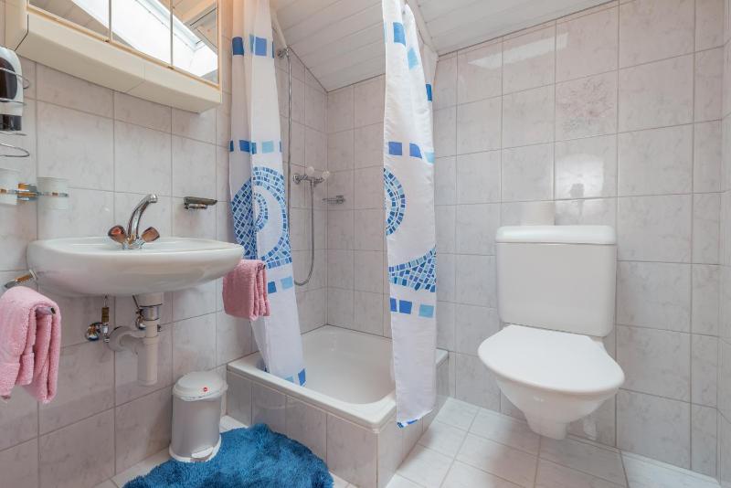 One-Bedroom Apartment image 3