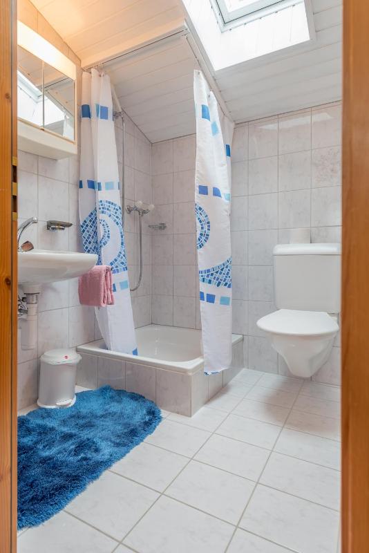 One-Bedroom Apartment image 2