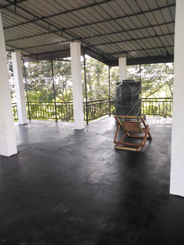 Mayon Guest - image 4