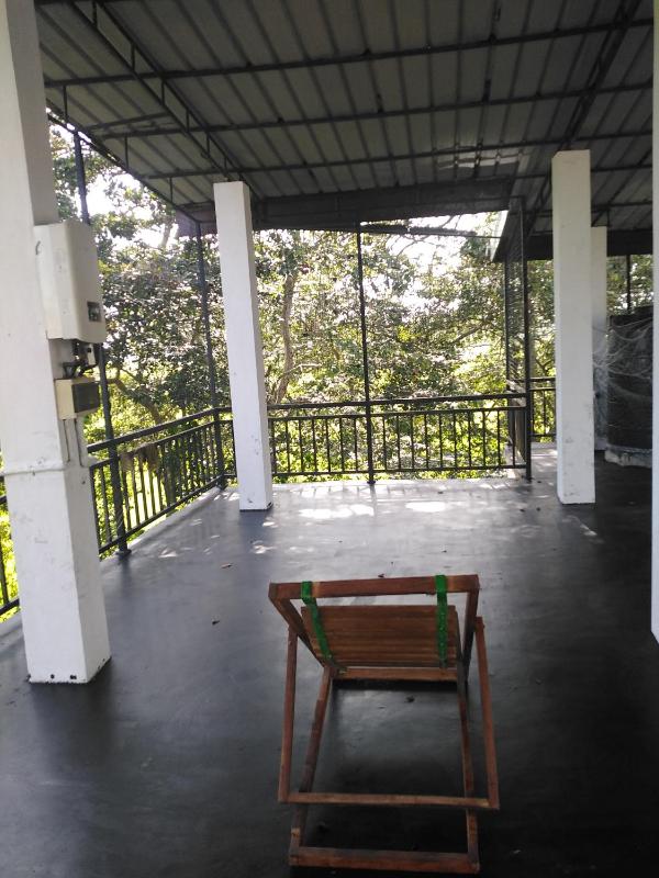 Mayon Guest - image 17
