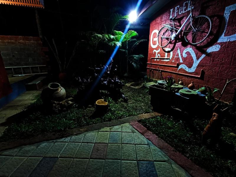 Aranya a wild forest ecostay - image 42
