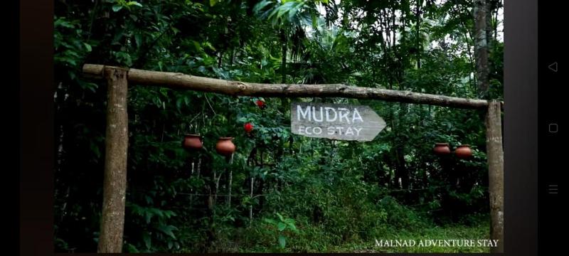 Aranya a wild forest ecostay - image 13