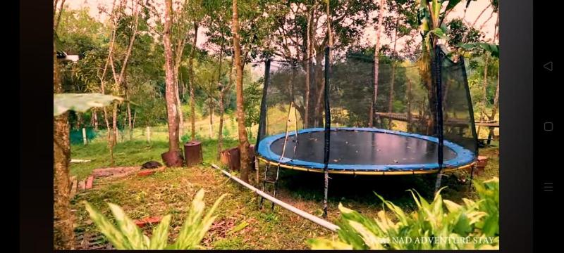 Aranya a wild forest ecostay - image 43