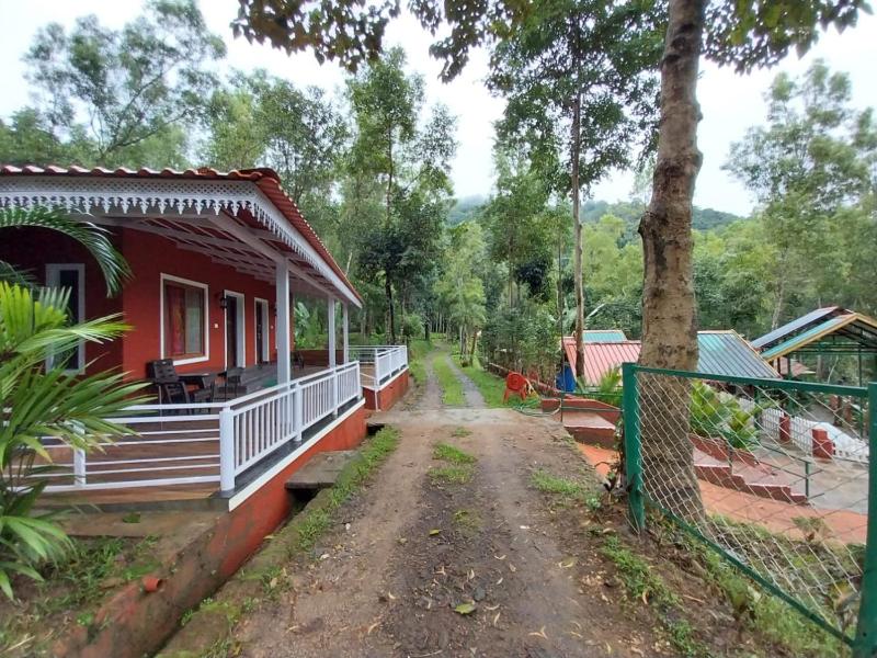 Aranya a wild forest ecostay - image 7