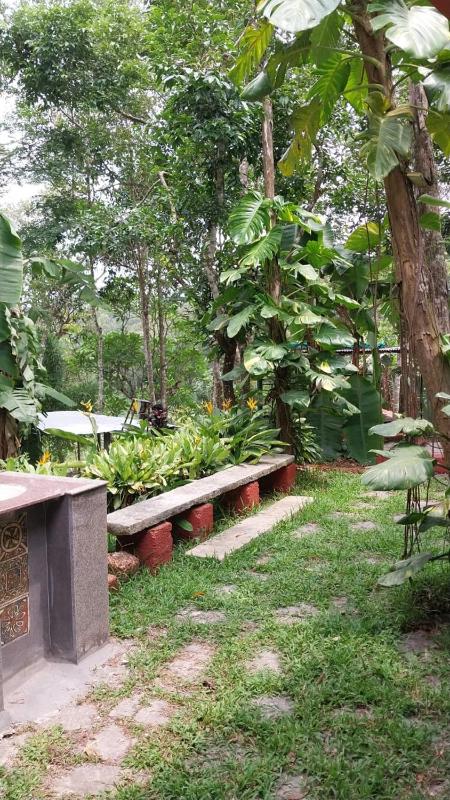 Aranya a wild forest ecostay - image 50