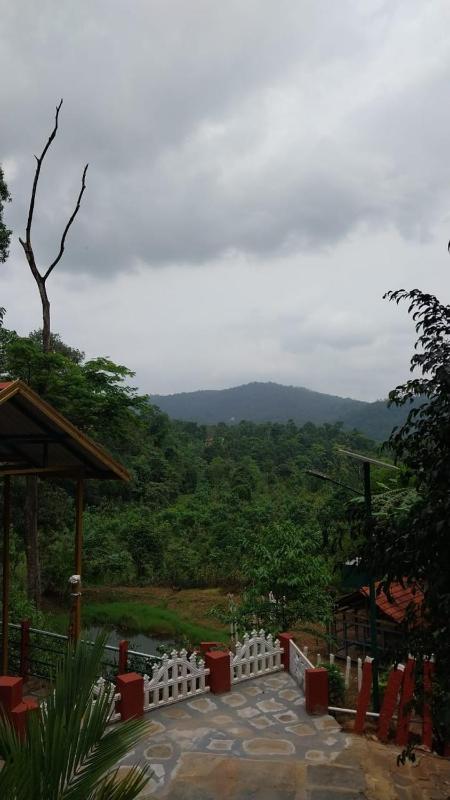 Aranya a wild forest ecostay - image 32