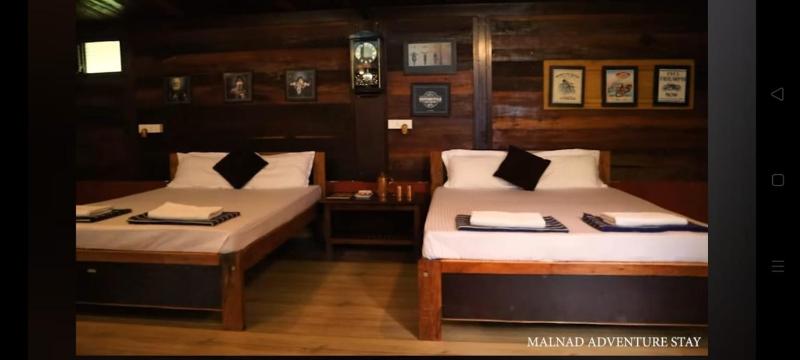 Aranya a wild forest ecostay - image 39