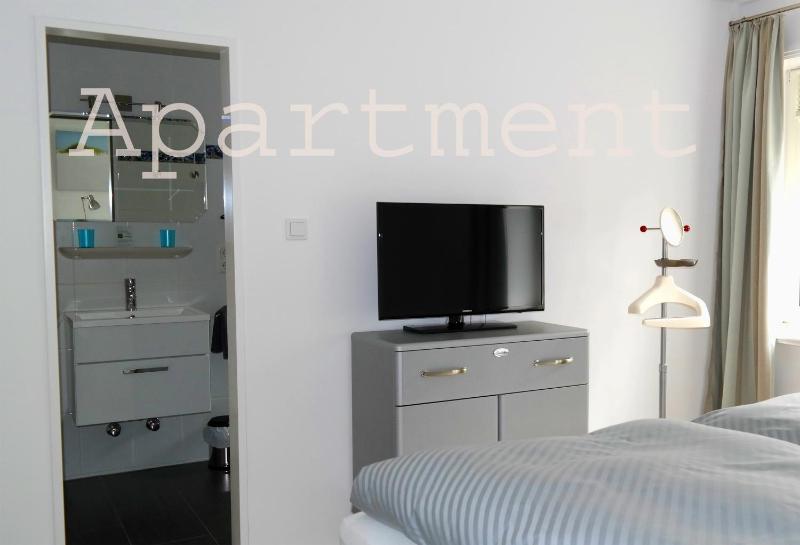 One-Bedroom Apartment image 3