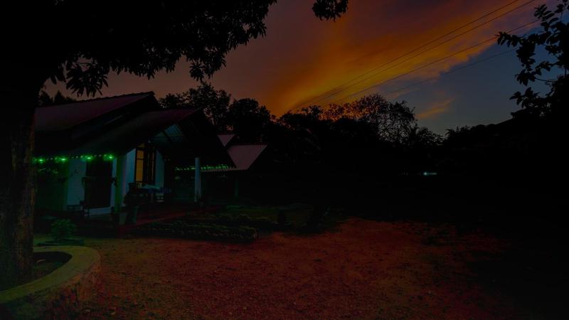 Little Haven Cottage - image 13