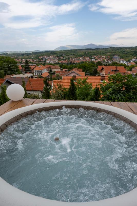 Apartman Berlin Sokobanja 2 - image 6