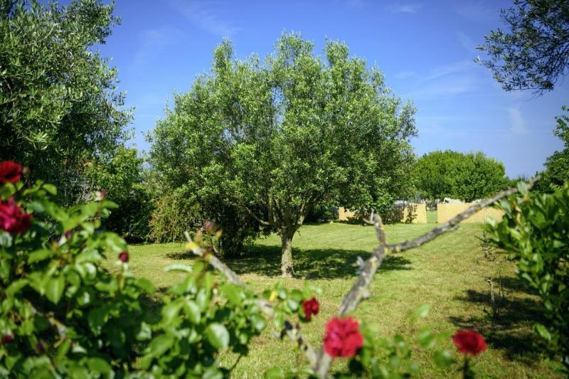 Istria Rosa in Pula - Istrien - image 10