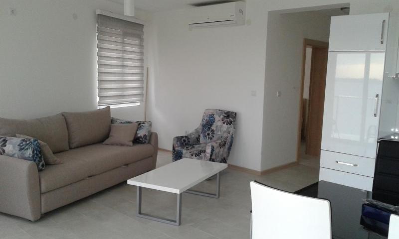 One-Bedroom Apartment image 2