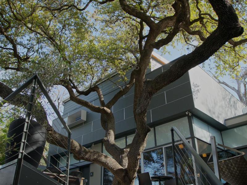 Frame Hotel - Treehouse - image 10