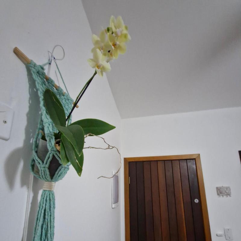 A Ver o Mar Guest House - image 39