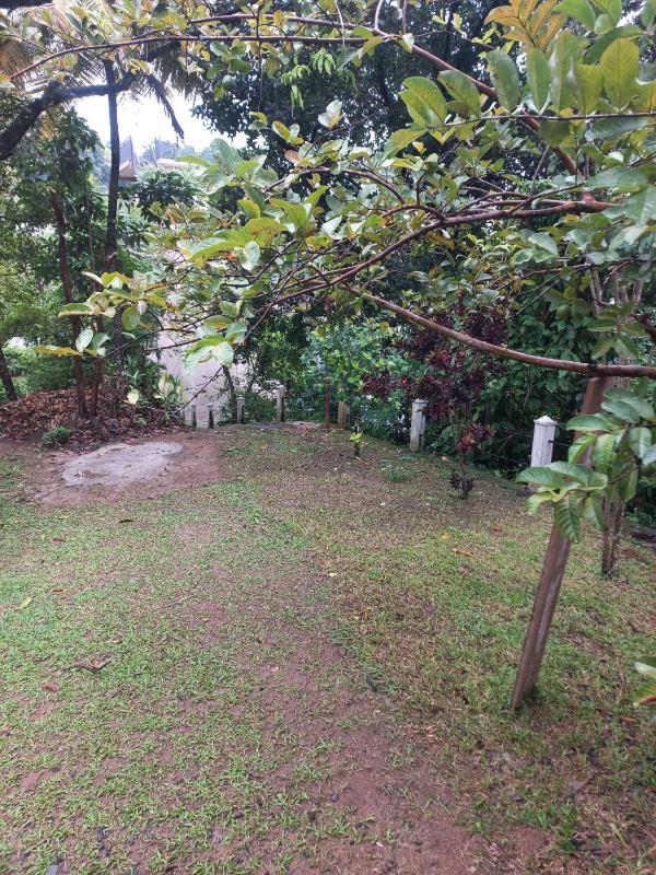 Dream Inn - image 10