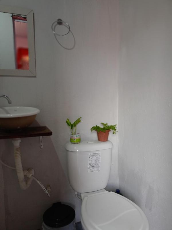 Pousada - Casa dos Paiva - image 37