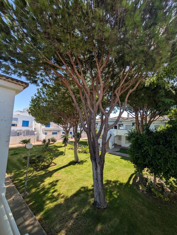 Apartamento Red de Almadraba - image 12