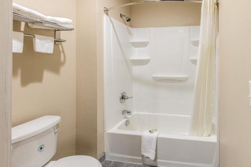 Superior Suite image 3