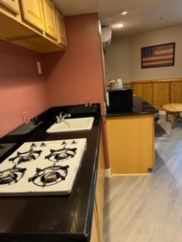 Fireside Lodge - image 19