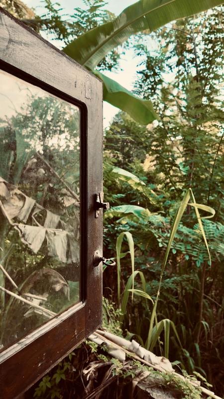 D n A secret Palace - image 40