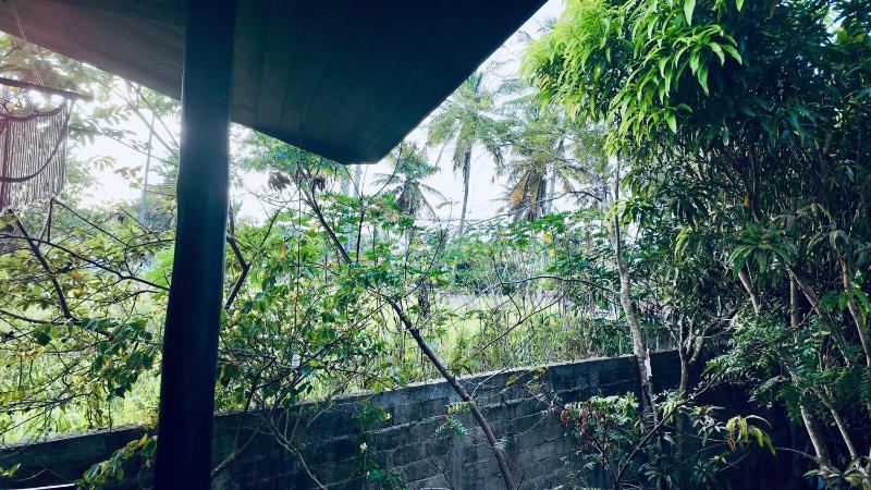 D n A secret Palace - image 37
