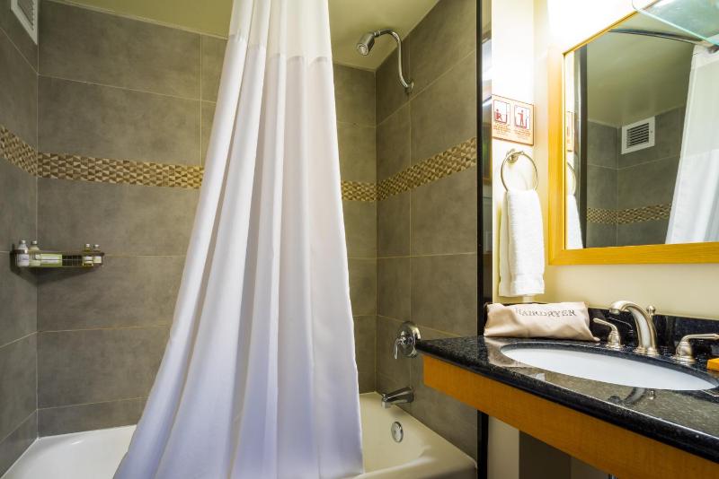 Family Suite image 4