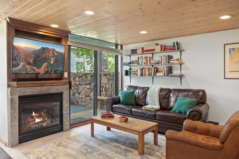 Telluride Lodge 324 studio - image 23