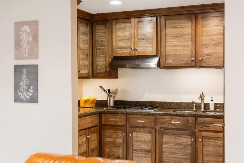 Telluride Lodge 324 studio - image 24