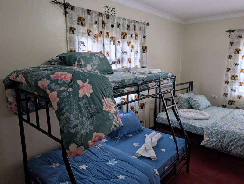 Shavia Home - image 5
