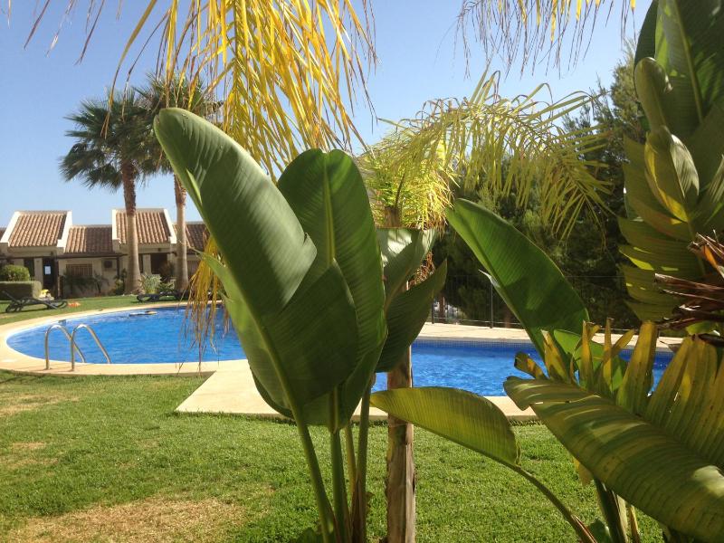 Townhouse Los Olivos M - image 18