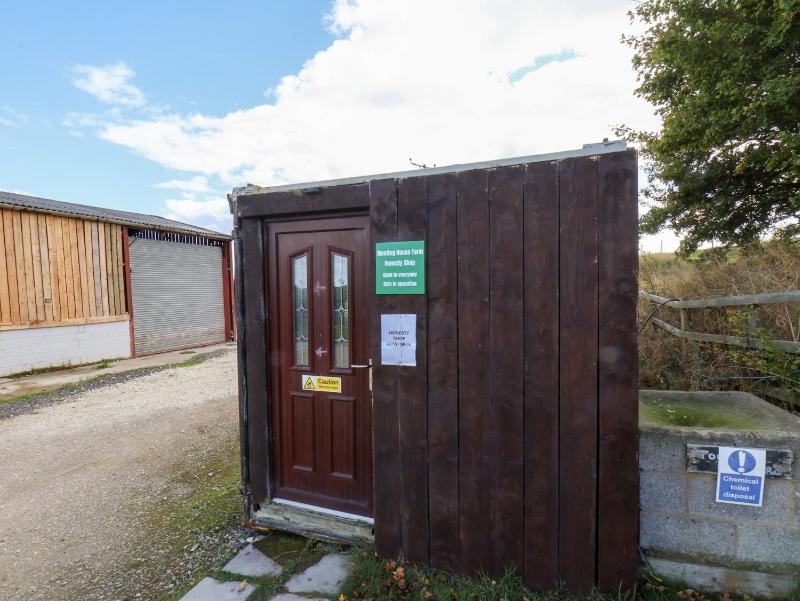 Wren - image 10